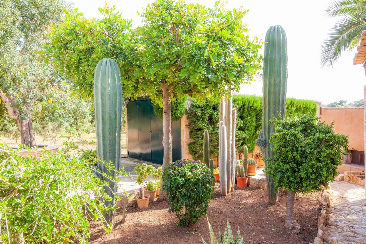 Ses Salines Cottage With Private Pool And Barbecue Extérieur photo